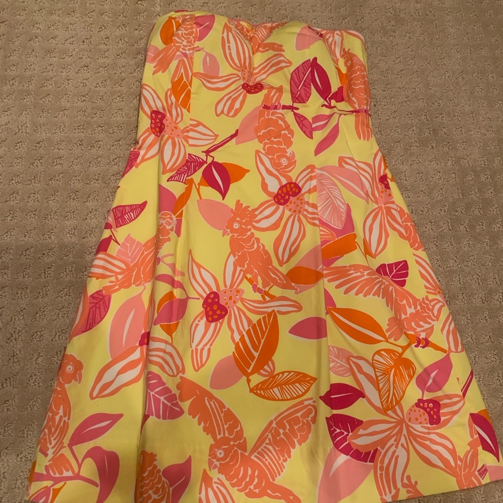 EUC Lilly Dress 🌺